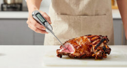 11 Best Wireless Meat Thermometers for Oven and Grill in 2026