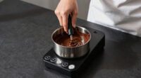 12 Best Best Chocolate Tempering Machine in 2026