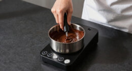 12 Best Best Chocolate Tempering Machine in 2026