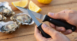 12 Best Oyster Shucking Knife Set in 2026