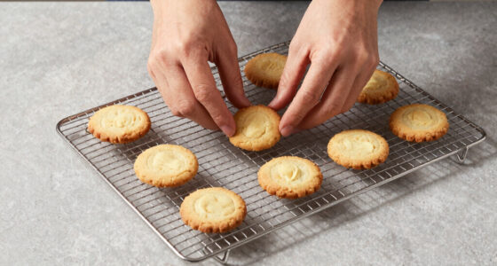 13 Best Cooling Rack Set For Baking In 2026