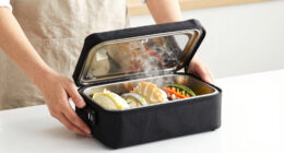 13 Best Food Carrier Insulated for Hot Dishes in 2026