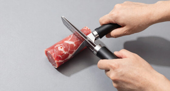 13 Best Jerky Slicer And Tenderizer In 2026