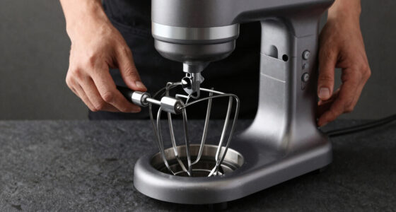 13 Best Stand Mixer Pasta Attachment in 2026
