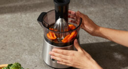 14 Best Cold Press Juicer For Vegetables In 2026