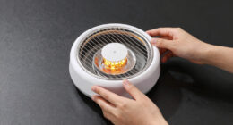 15 Best Best Heat Lamp Food Warmer in 2026