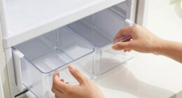 7 Best Refrigerator Organizer Bins in 2026
