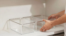 8 Best Best Pantry Shelf Organizer System in 2026