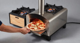 8 Best Outdoor Pizza Oven Gas and Wood in 2026