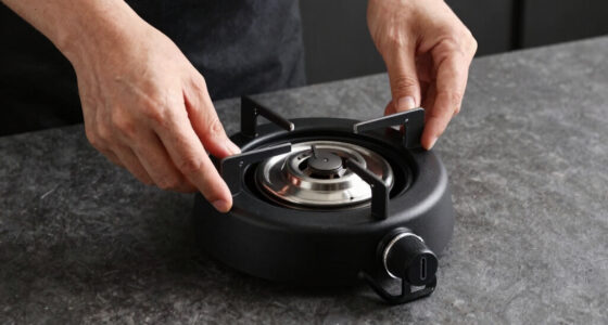 8 Best Paella Burner and Stand Kit in 2026