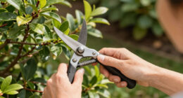 11 Best Garden Pruning Knives in 2026