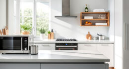 How to Clean a COSORI Dual Blaze Air Fryer
