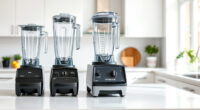 Is the Vitamix E310 Explorian Worth It? Honest Review