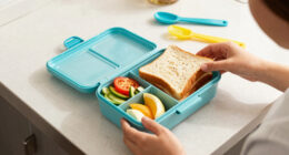 Lunch Box Containers For Kids: A Back to school Guide