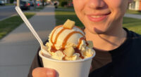 Dq Caramel Apple Cheesecake Blizzard