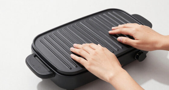 15 Best Indoor Electric Grills for 2026