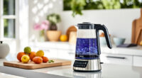 Summer Care Tips for Your Ninja KT200BL Electric Kettle