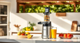 Summer Care Tips for Your Ninja NeverClog Cold Press Juicer