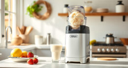 Summer Care & Troubleshooting for Your Ninja CREAMi Deluxe Ice Cream Maker