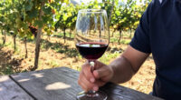 The VinePair Podcast: Cabernet Is Still King…But For How Long?
