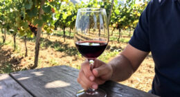 The VinePair Podcast: Cabernet Is Still King…But For How Long?