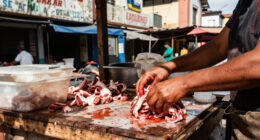 Unregulated Meat Stalls In Bogotá Pose Food Safety Risks
