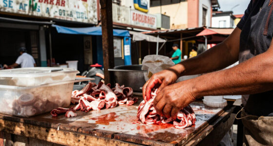 Unregulated Meat Stalls In Bogotá Pose Food Safety Risks